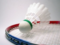 Badminton2.jpg